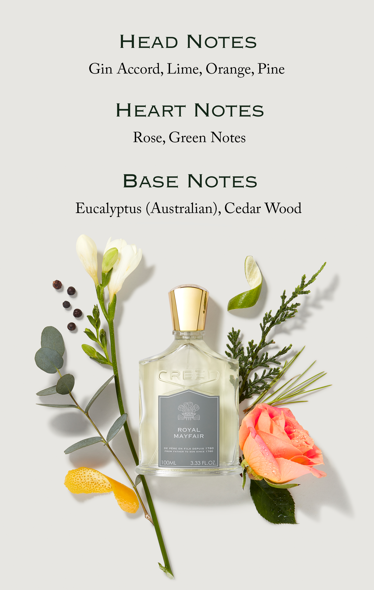 Head notes, Heart notes, Base notes